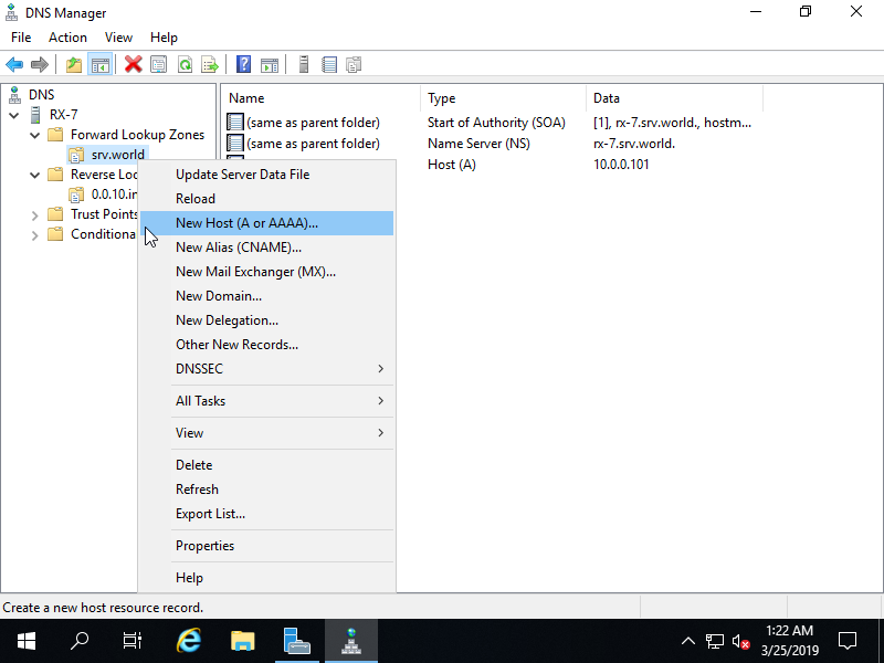 How To Add A/PTR record in Windows DNS Server